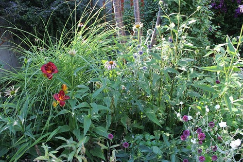 July22_ (21)