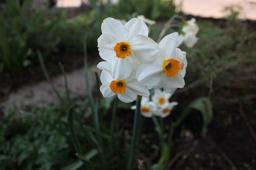 May22_dg