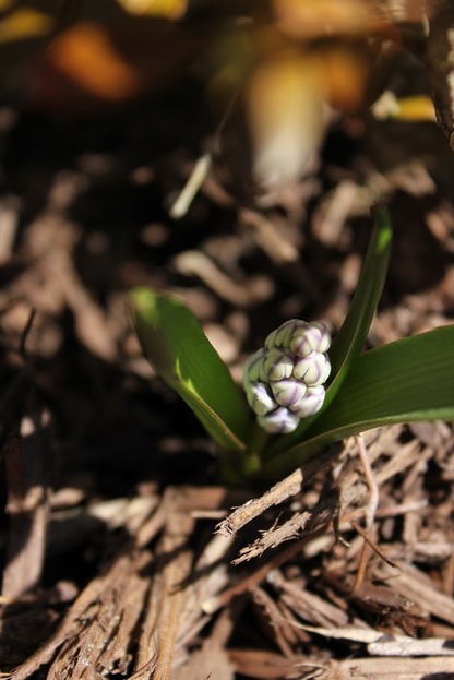 Apr9_pl4