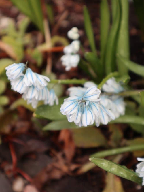 April28 (17)
