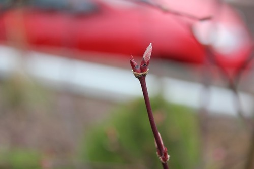 Apr25_jm