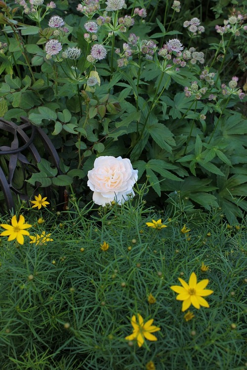 July8_ (17)