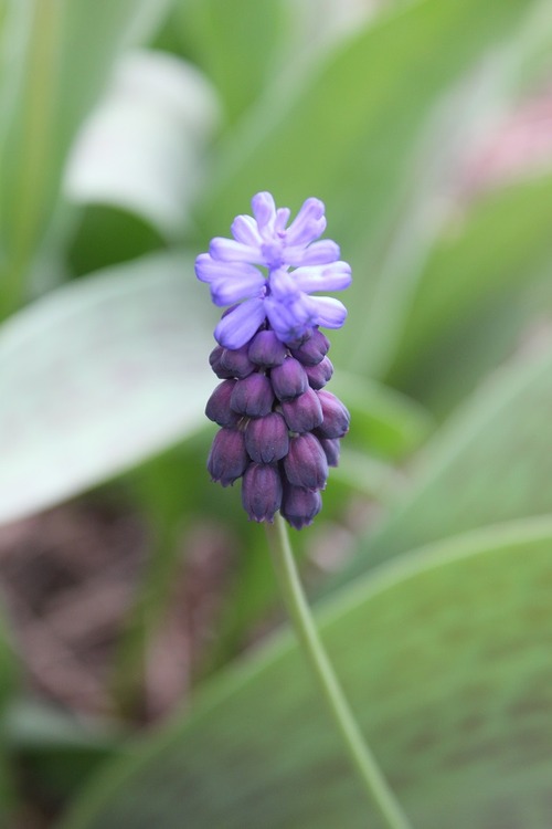 Apr29_ ml