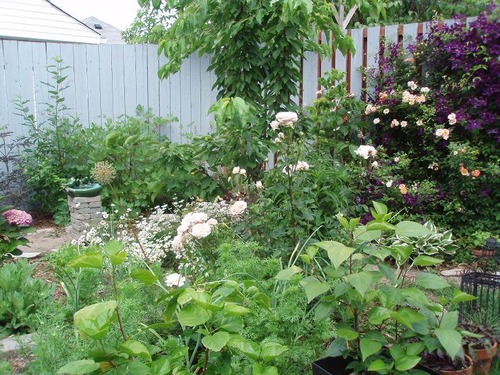 June24_garden1