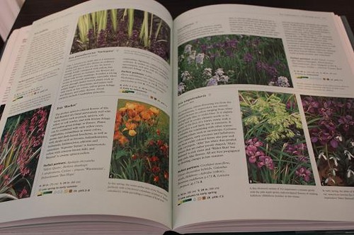 Book_Comb2