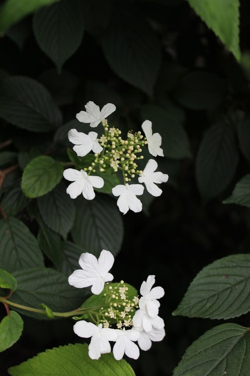 Aug19 (9)