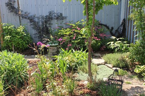 May20_garden