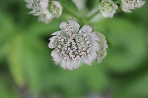 June24_ (23)