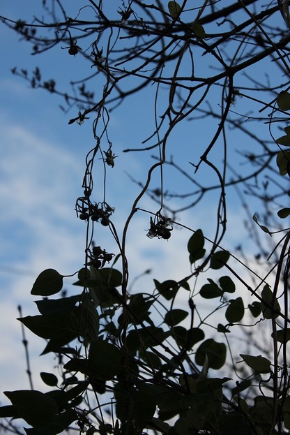 Nov22_mg