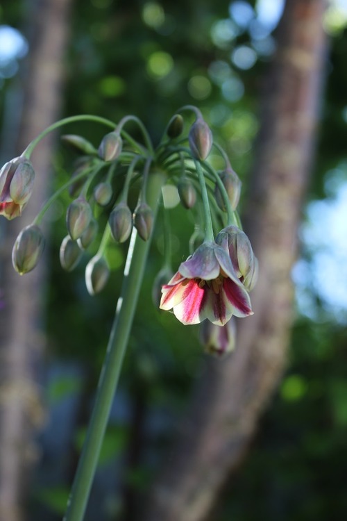 June7_ (13)