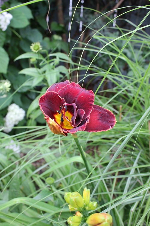 July14_ (20_3)