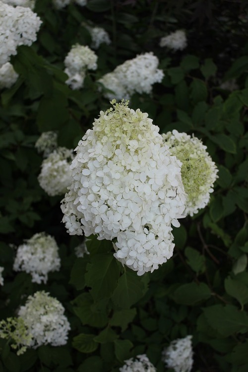 Aug20 (3)