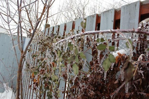 Dec21_5