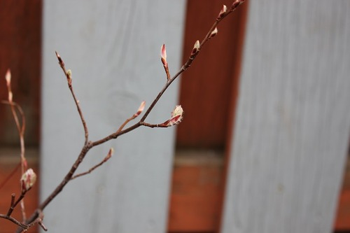 April26_ss