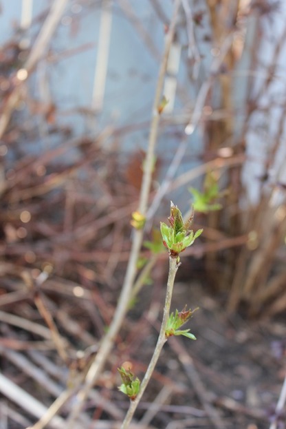 Apr22_mt