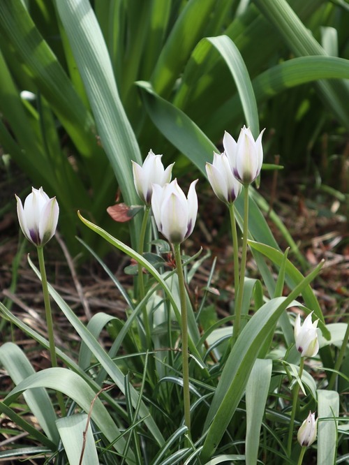 May11 (14)