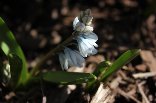 Apr9_pl2
