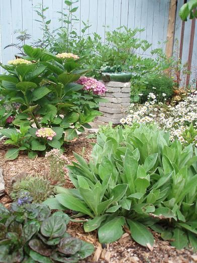 June24_garden3