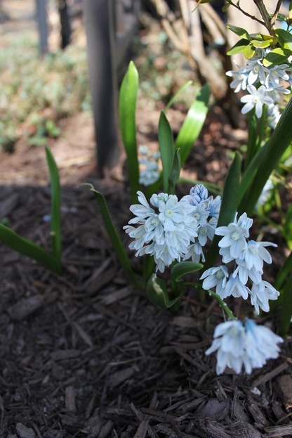 Apr22_pl