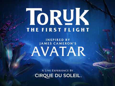 toruk1