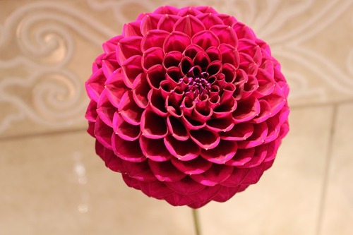 Sept30 (1)