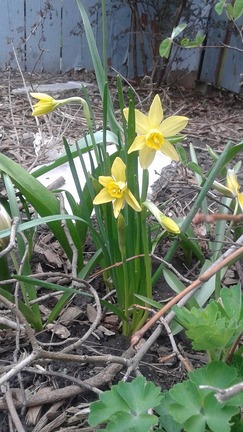 20150505_184852