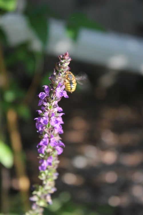 July8_ (22)