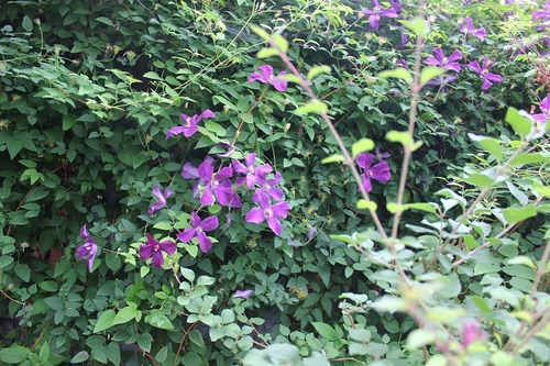 Aug15 (30)