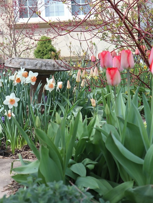 May11 (6)