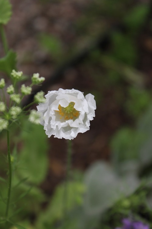 July27_ (34)