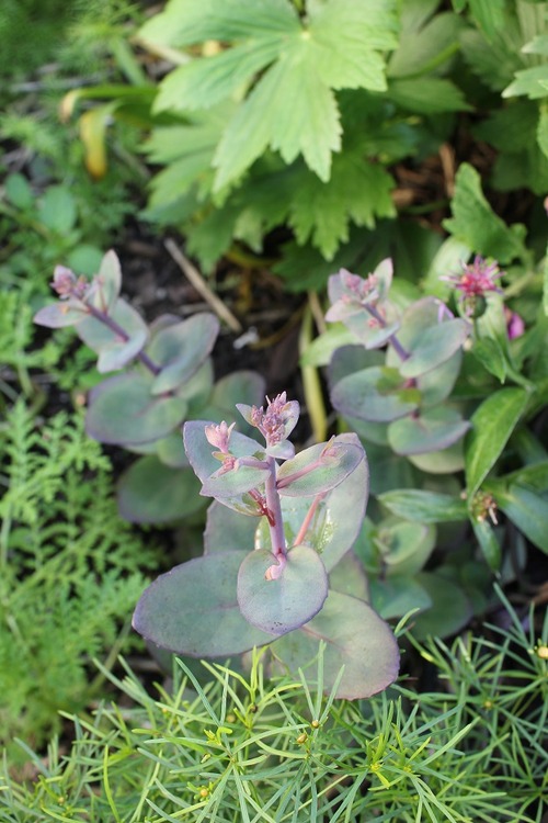 June28_ (43)