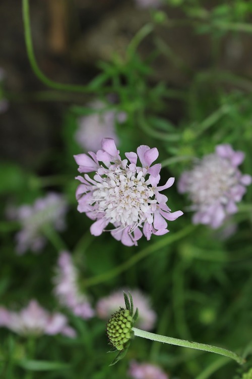 July22_ (71)