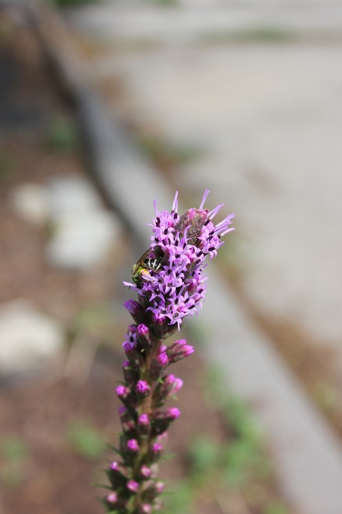 July23_ (28)