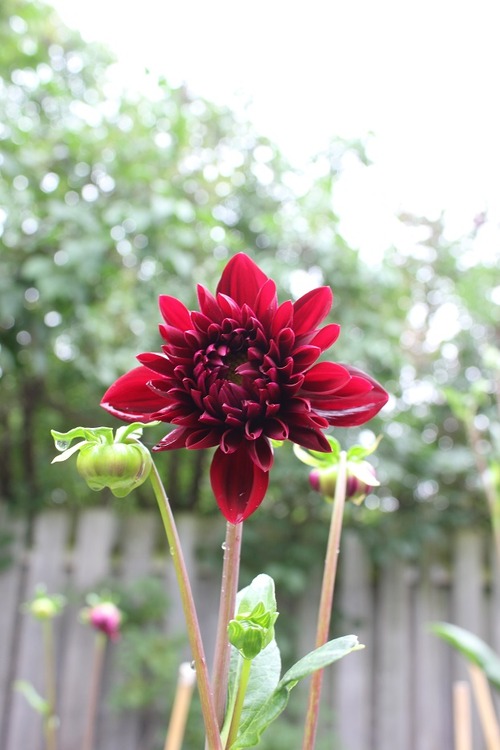 July14_ (1_3)