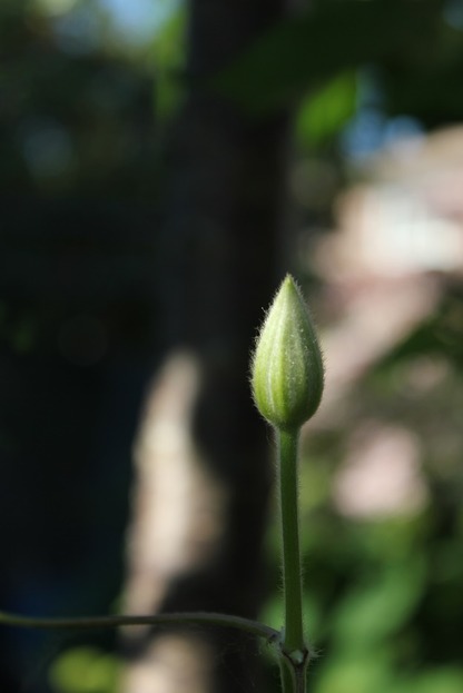 June18_ch