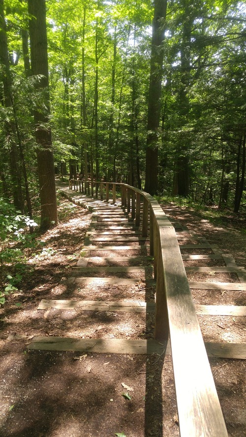 July8_Kortright (3)