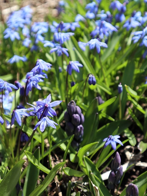 April29 (12)