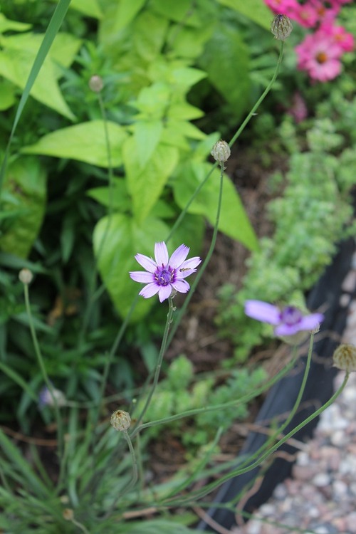 July22_ (52)