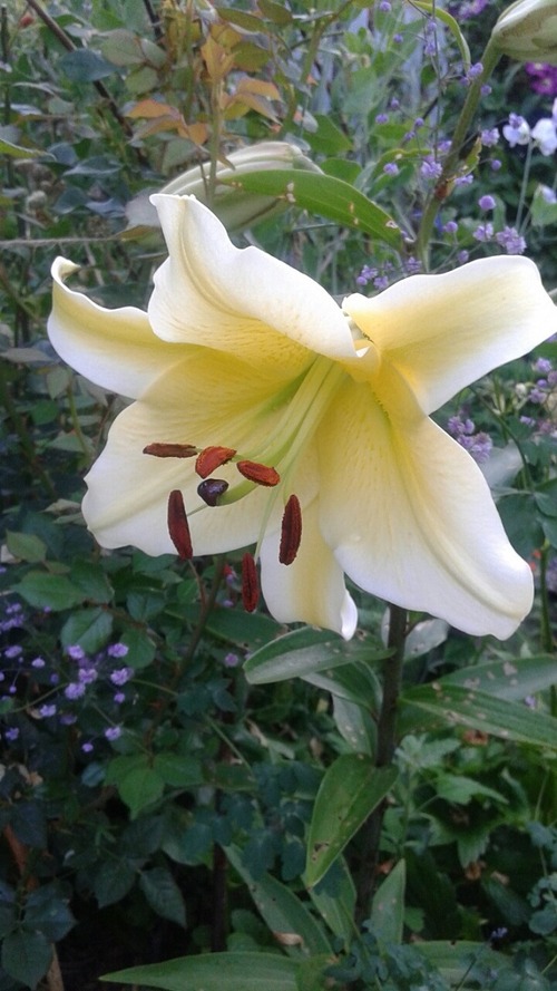 20150727_065920_resized