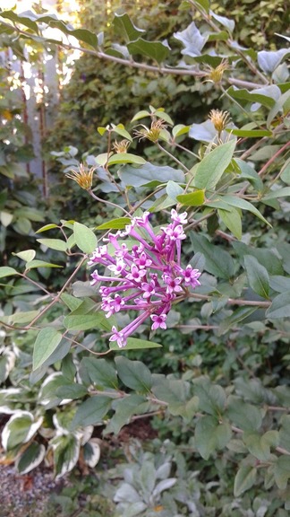 20150920_091905