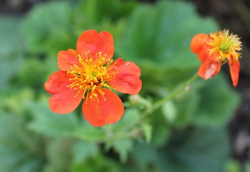 June13_geum