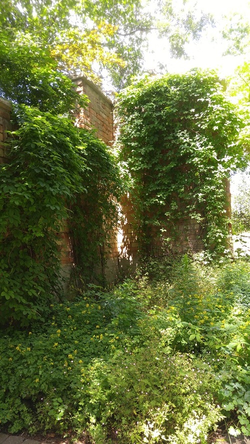20170715_124510