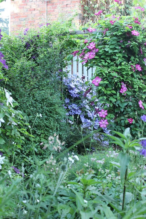 June28_ (15)