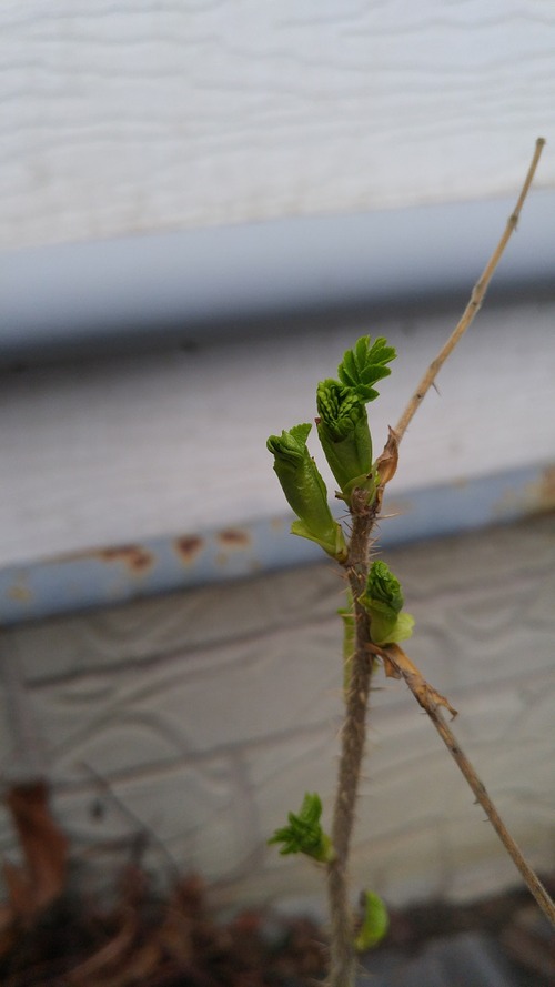 20180424_181312