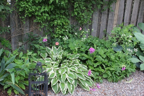 July8_ (62)