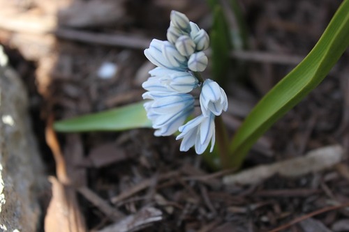 Apr9_pl5
