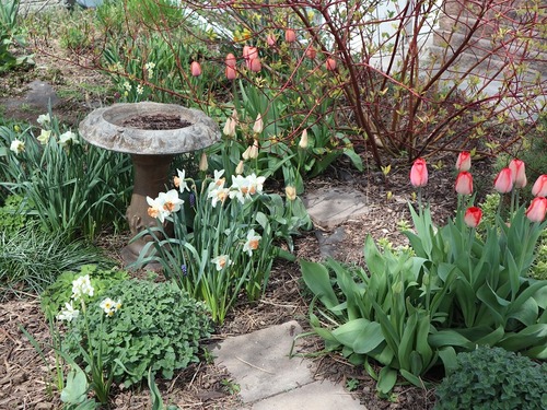 May11 (19)