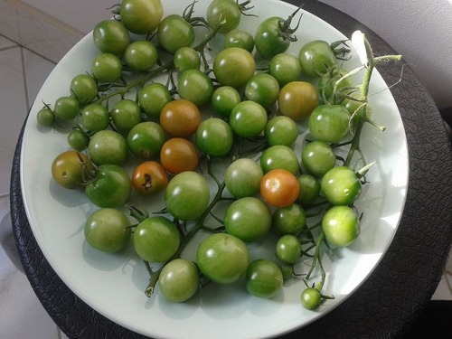 cherrytomatoes