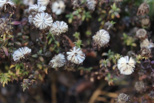 Nov28_awb