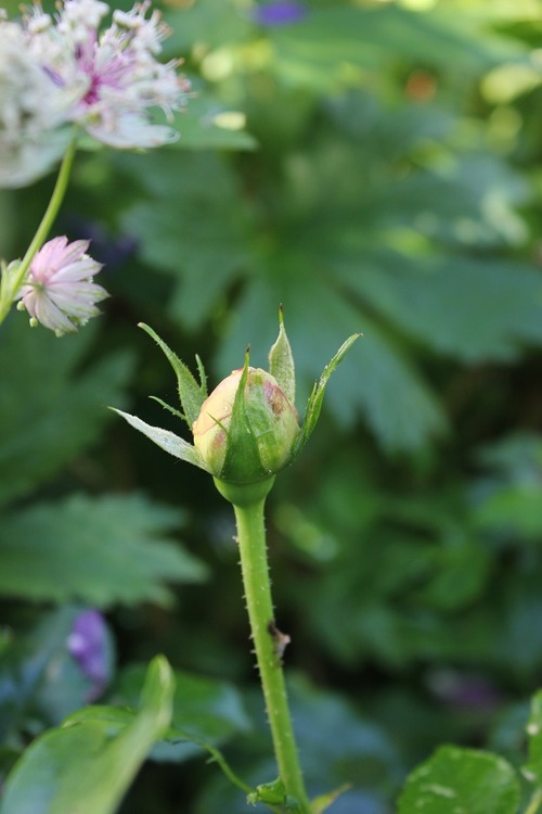 June28_ (3)